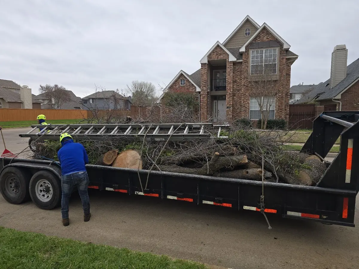 Expert Tree Pest Control with proper safety equipment in Paeonian Springs